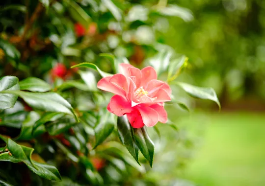 DSCF0891.webp