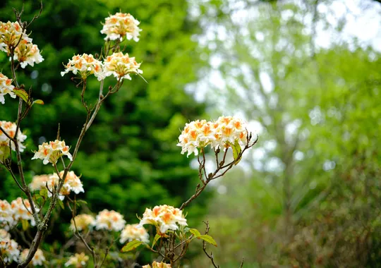 DSCF0895.webp
