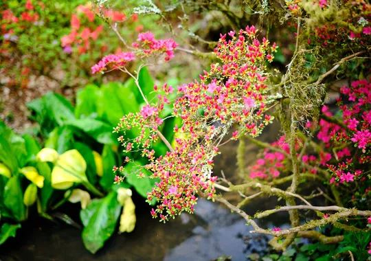 DSCF0908.webp