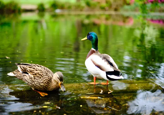 DSCF0936.webp