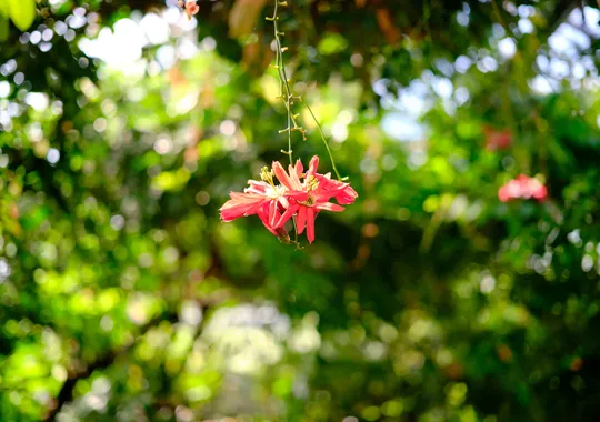 DSCF2409.webp
