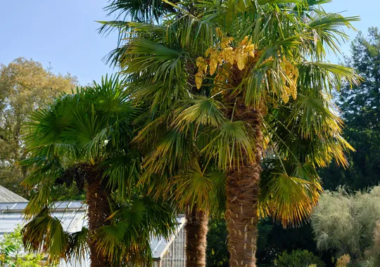 DSCF2417.webp