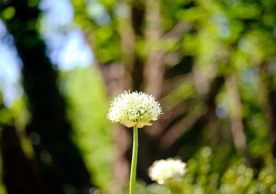 DSCF2459.webp