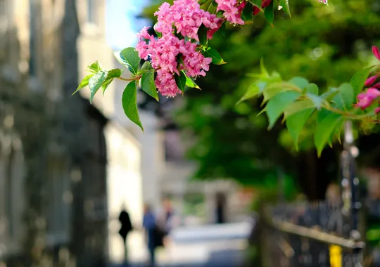 DSCF2498.webp