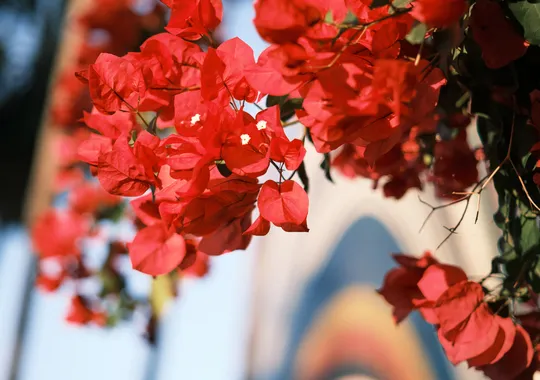 DSCF3455.webp
