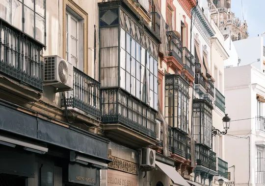 DSCF3526.webp