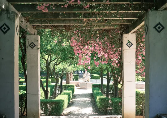 DSCF3682.webp