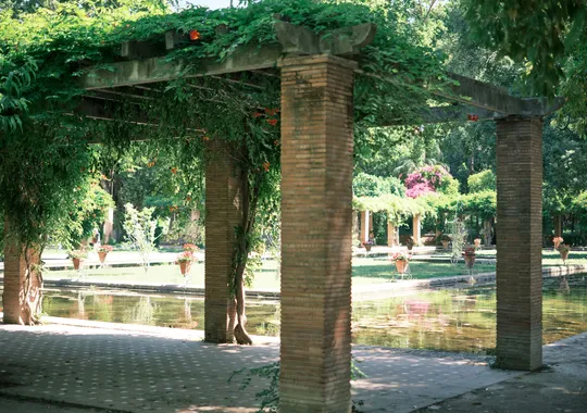 DSCF3706.webp