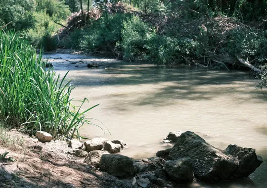 DSCF3924.webp