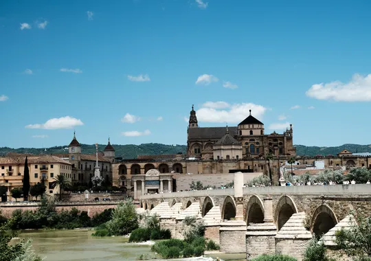 DSCF4013.webp