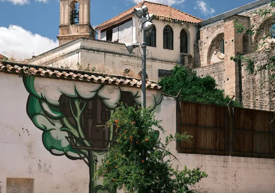 DSCF4073.webp