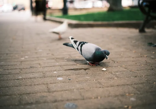 DSCF4124.webp