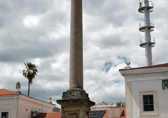 DSCF4142.webp