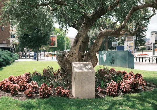 DSCF4148.webp