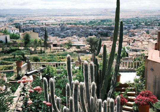 DSCF4243.webp