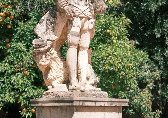 DSCF4290.webp