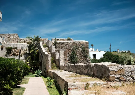 DSCF4604.webp