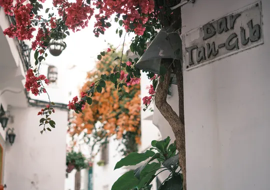 DSCF4722.webp