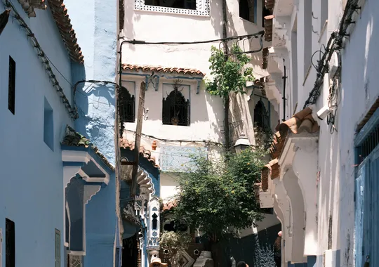 DSCF4862.webp