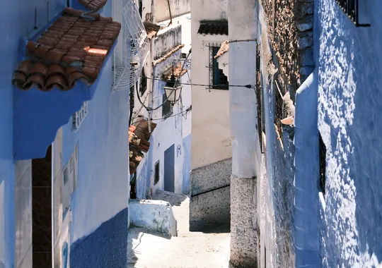 DSCF4948.webp