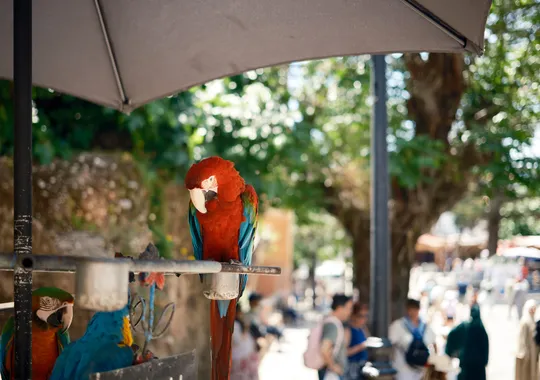 DSCF4973.webp