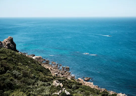 DSCF5077.webp