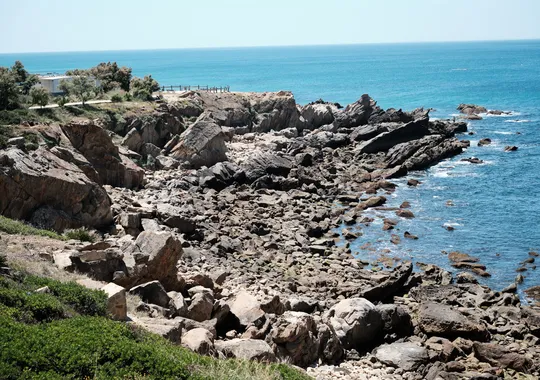 DSCF5111.webp