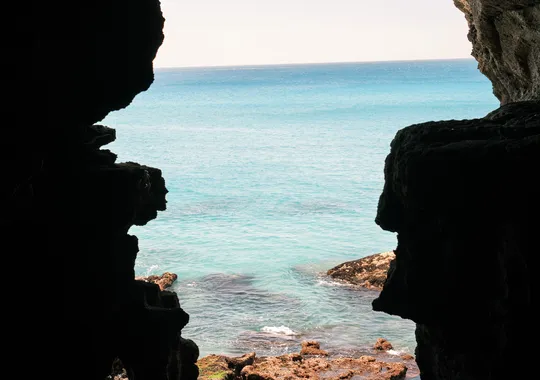 DSCF5181.webp
