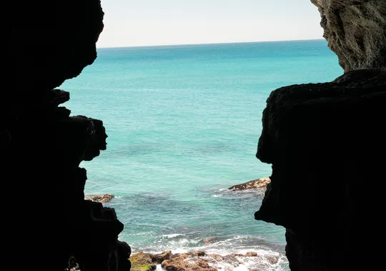 DSCF5182.webp