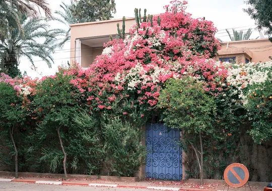 DSCF5319.webp