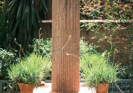 DSCF5347.webp