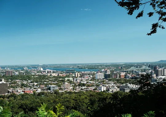 DSCF5842.webp
