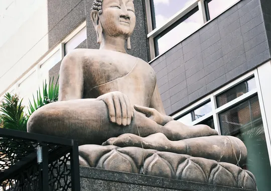DSCF5870.webp