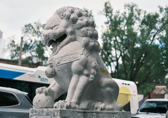DSCF5885.webp
