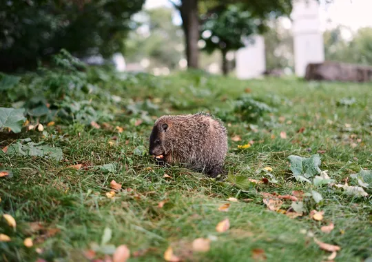 DSCF5944.webp