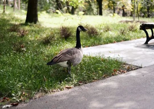 DSCF5978.webp