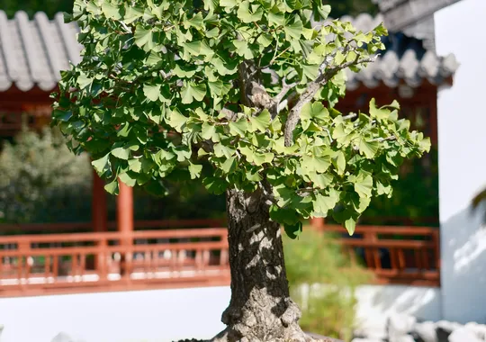 DSCF6026.webp