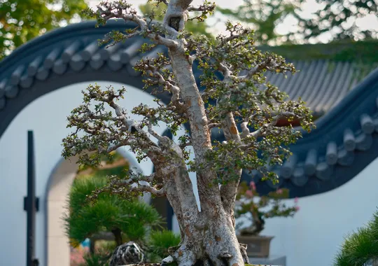 DSCF6027.webp