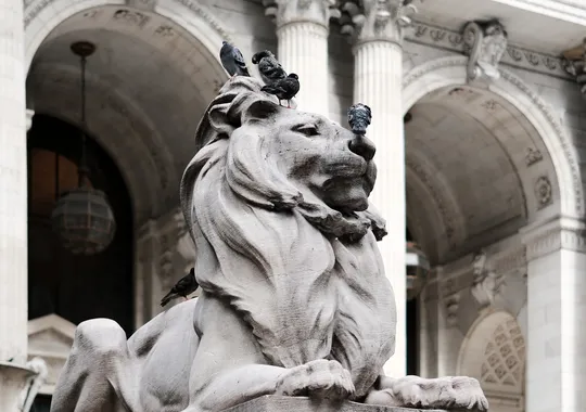 DSCF6295.webp