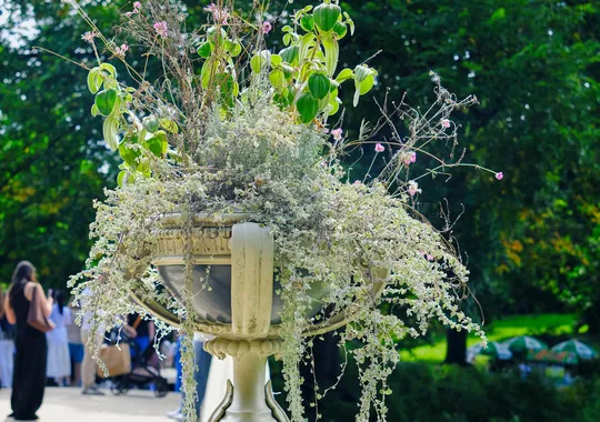 DSCF6389.webp