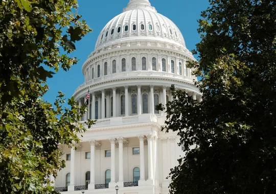 DSCF6933.webp