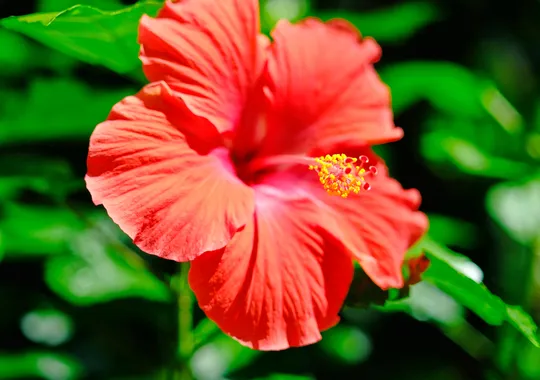 DSCF6939.webp