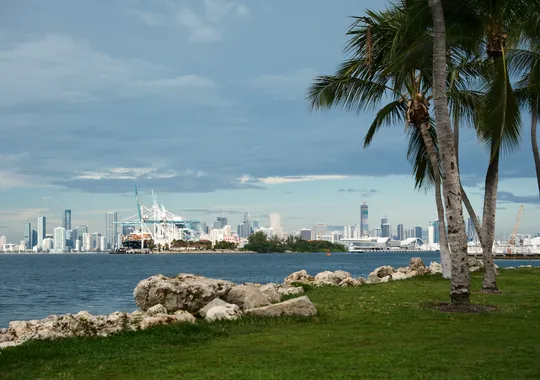 DSCF7143.webp