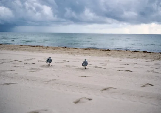 DSCF7248.webp