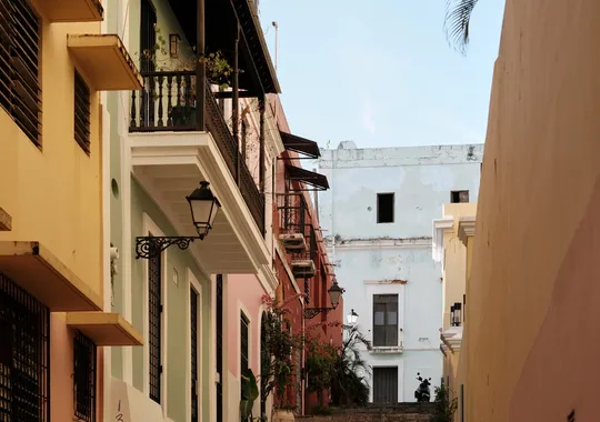 DSCF7479.webp