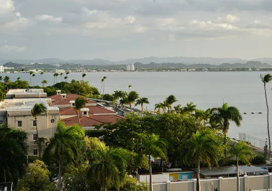 DSCF7530.webp