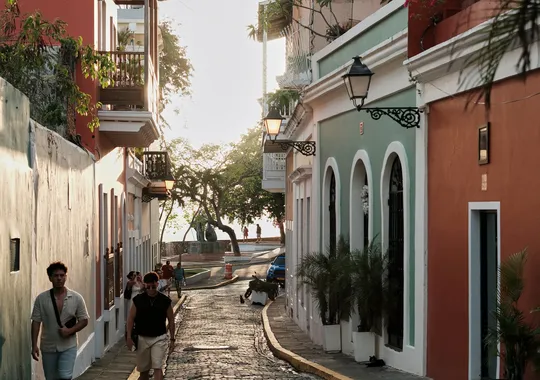DSCF7549.webp