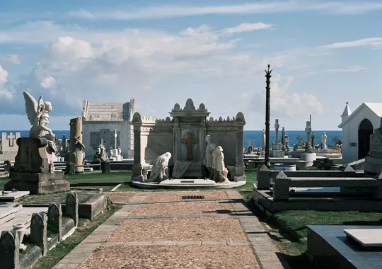 DSCF7652.webp